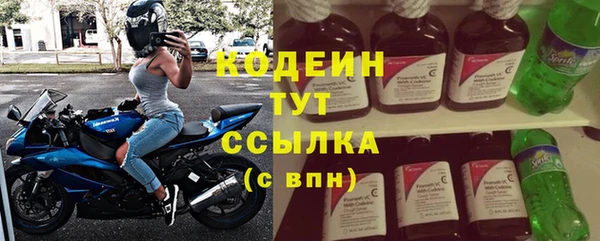 прущие грибы Нефтекумск
