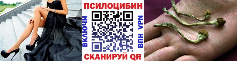 Псилоцибиновые грибы Cubensis  Никольское 